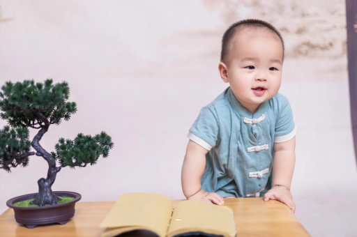 兰州可爱的企鹅宝宝